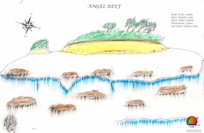 Angel Reef